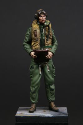 RAF/FAA pilot 1950's 
