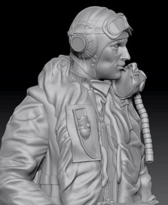 RAF/FAA pilot 1950's 
