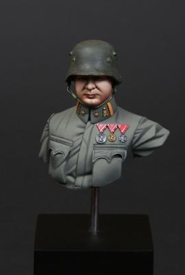 Austro-Hungarian Infantry/Pioneer officer (WW I)