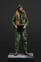 RAF/FAA pilot 1950's 