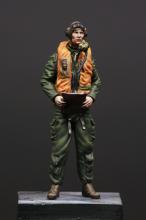 RAF/FAA pilot 1950's 