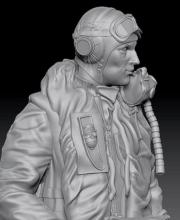 RAF/FAA pilot 1950's 