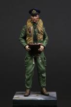 RAF/FAA pilot 1950's  - 1.
