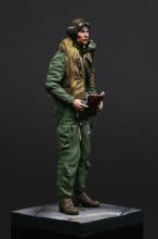 RAF/FAA pilot 1950's  - 2.