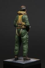 RAF/FAA pilot 1950's  - 5.