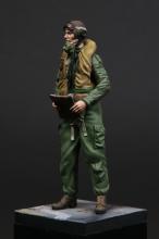 RAF/FAA pilot 1950's  - 7.