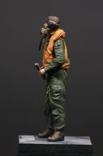RAF/FAA pilot 1950's  - 7.